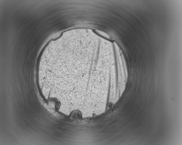 X0000080180955200701051654