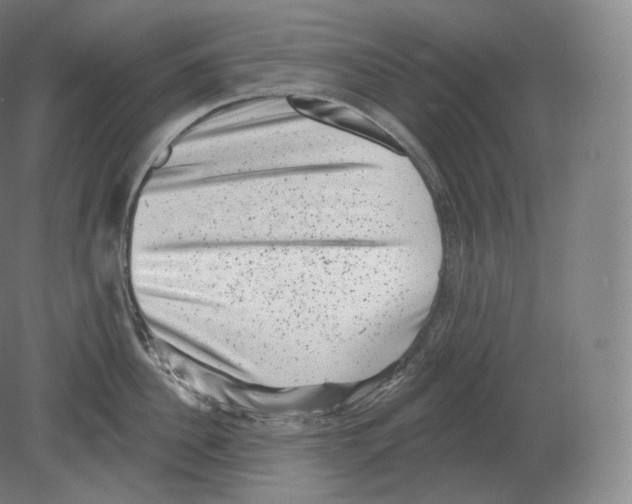 X0000080180956200701051654