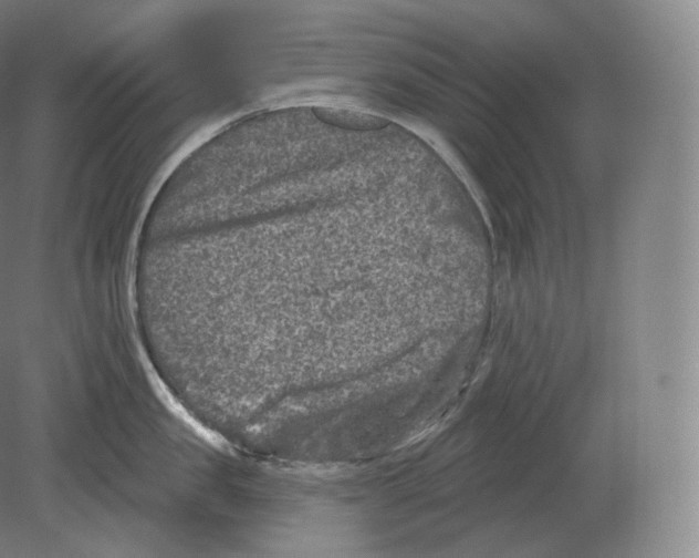 X0000080180957200701051654