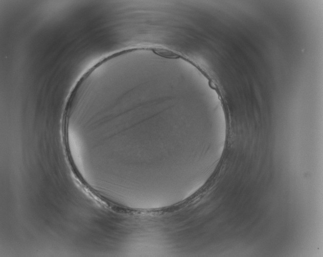 X0000080180958200701051654