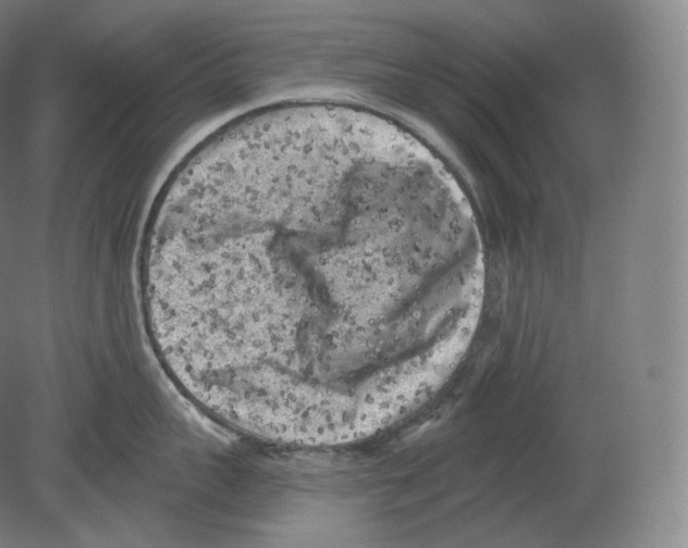 X0000080180959200701051654