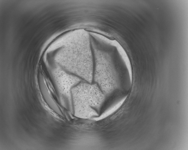 X0000080180960200701051654