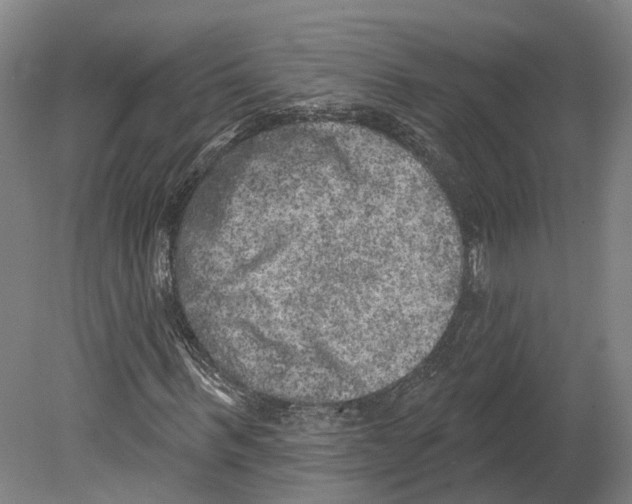 X0000080180963200701051653