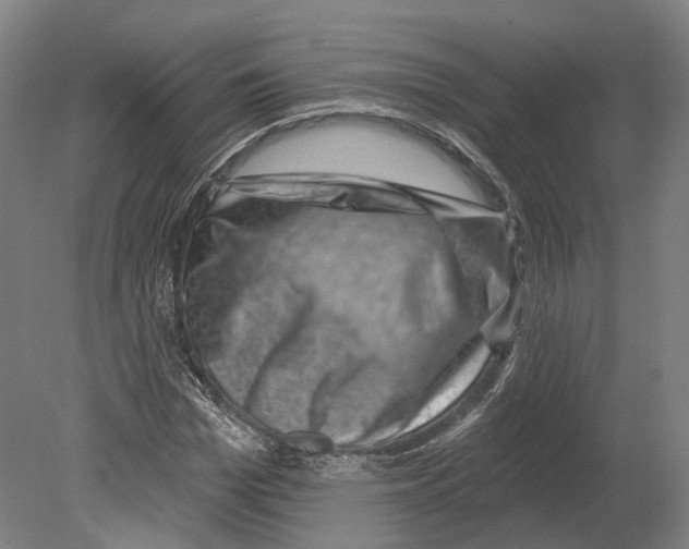 X0000080180969200701051653