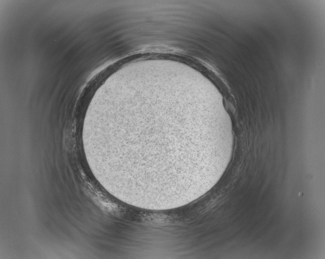 X0000080180971200701051653