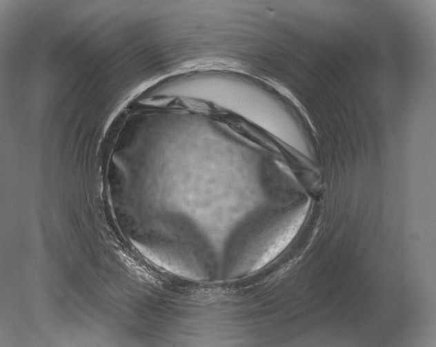 X0000080180973200701051653