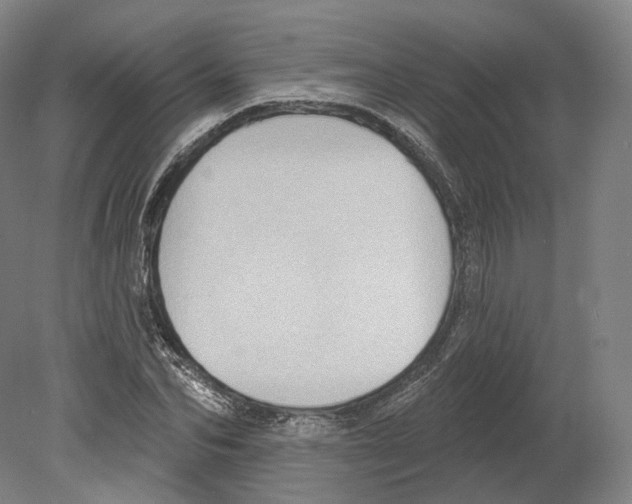 X0000080180974200701051653