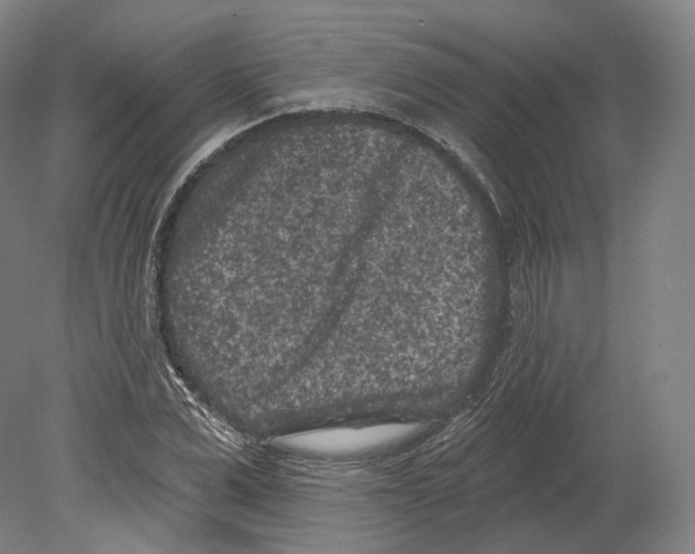 X0000080180975200701051653