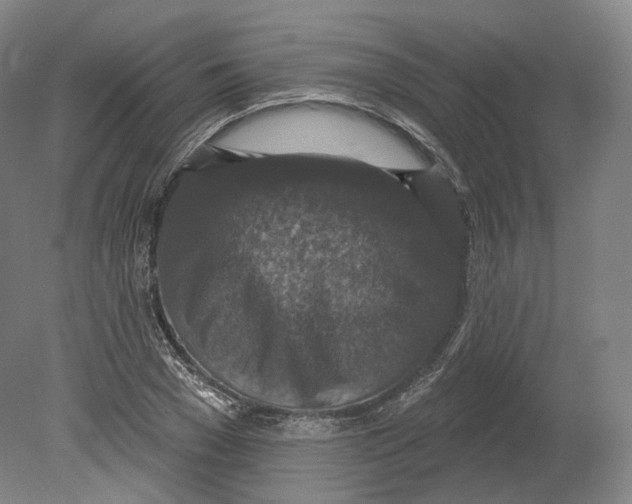 X0000080180977200701051653