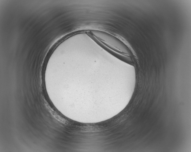 X0000080180980200701051653