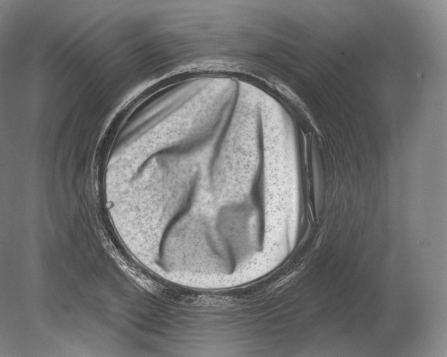 X0000080180981200701051652