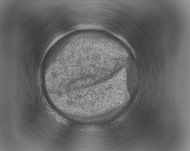 X0000080180983200701051652