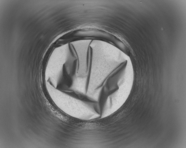 X0000080180984200701051652