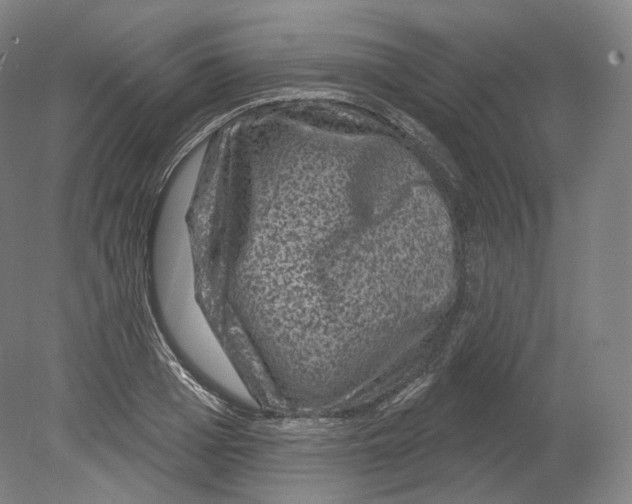 X0000080180985200701051652