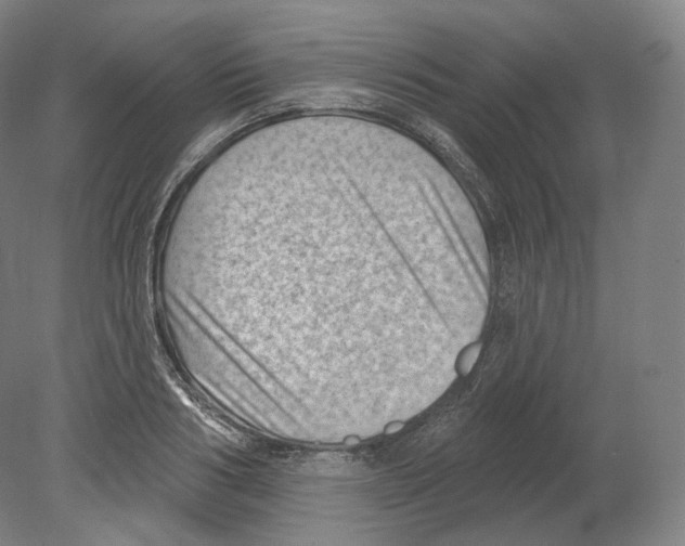 X0000080180986200701051652