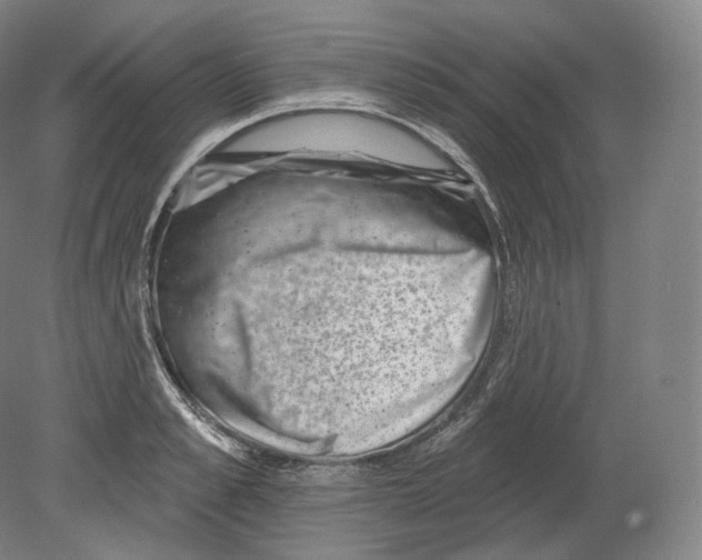 X0000080180989200701051652