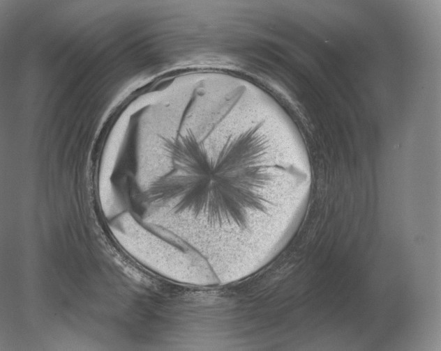 X0000080180990200701051652