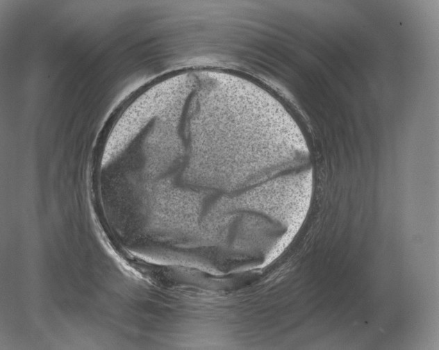 X0000080180991200701051652