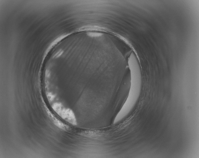 X0000080180995200701051652