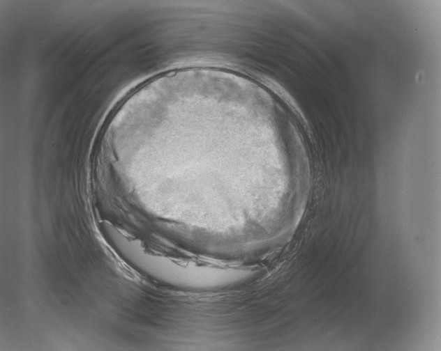 X0000080180996200701051652