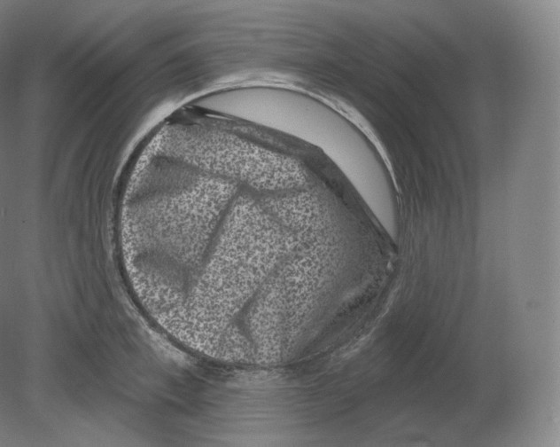 X0000080180997200701051652