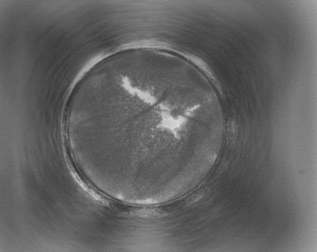 X0000080180998200701051652