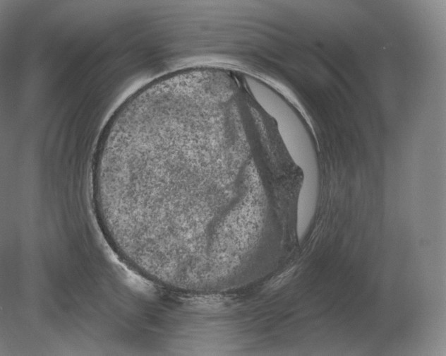 X0000080180999200701051652