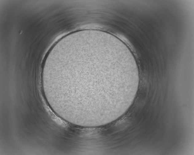 X0000080181000200701051652