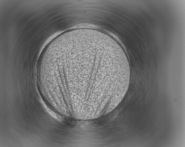 X0000080181003200701051652