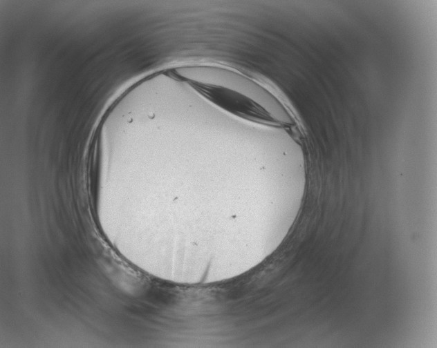 X0000080181004200701051652