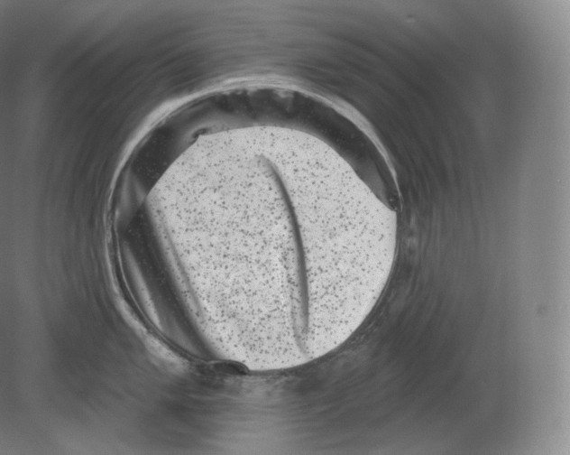 X0000080181005200701051652