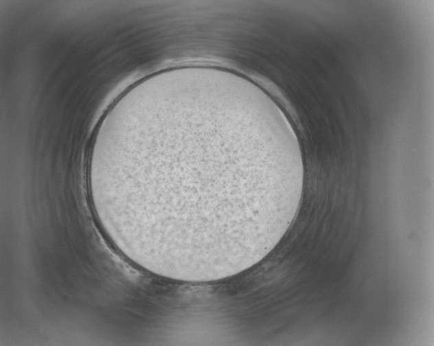 X0000080181006200701051652