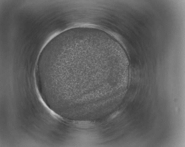 X0000080181007200701051652