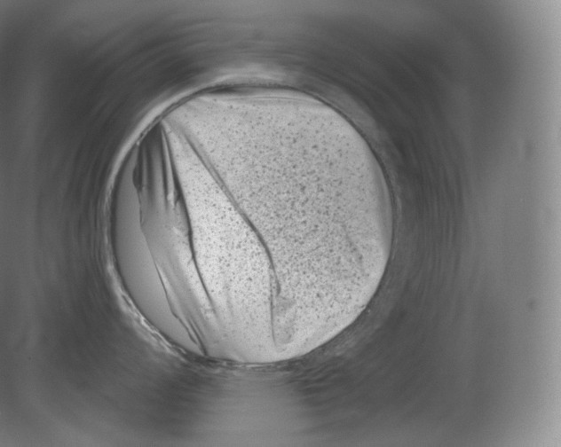 X0000080181008200701051652