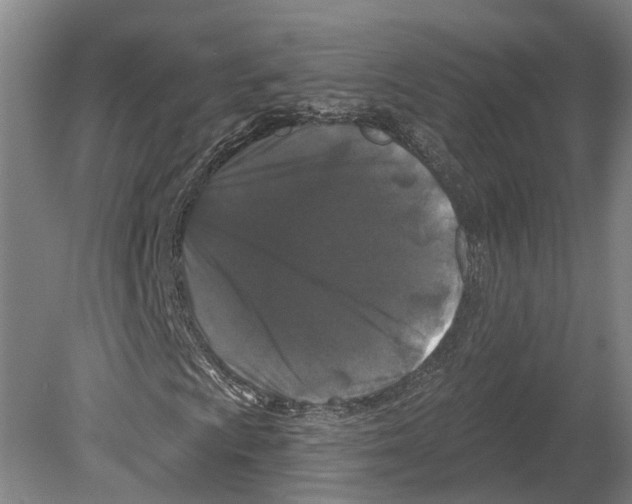 X0000080181009200701051651