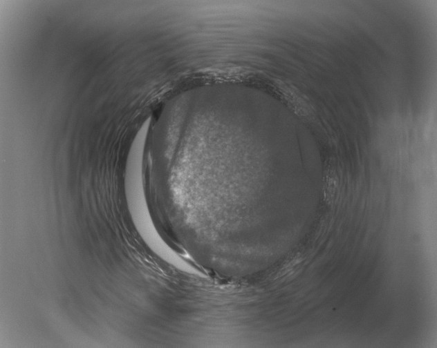 X0000080181010200701051651