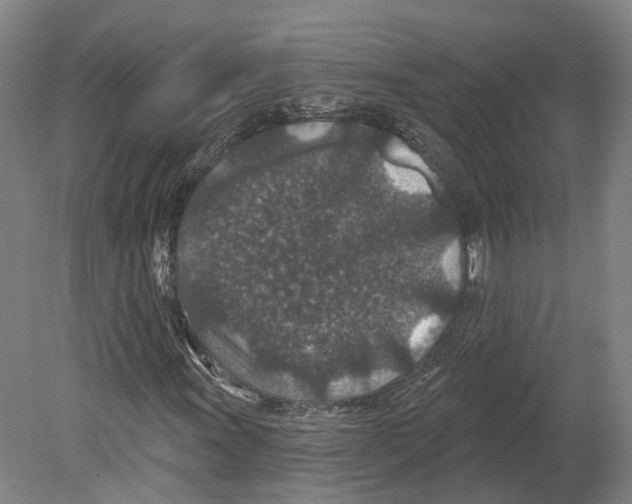 X0000080181011200701051651