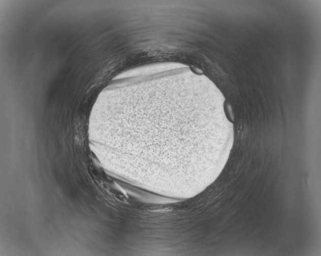 X0000080181012200701051651