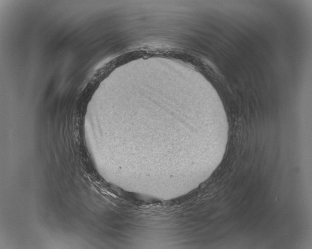 X0000080181016200701051651