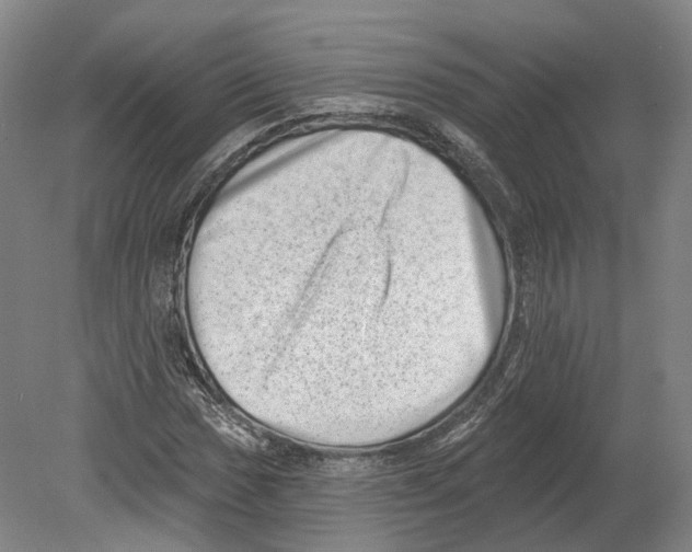 X0000080181017200701051651