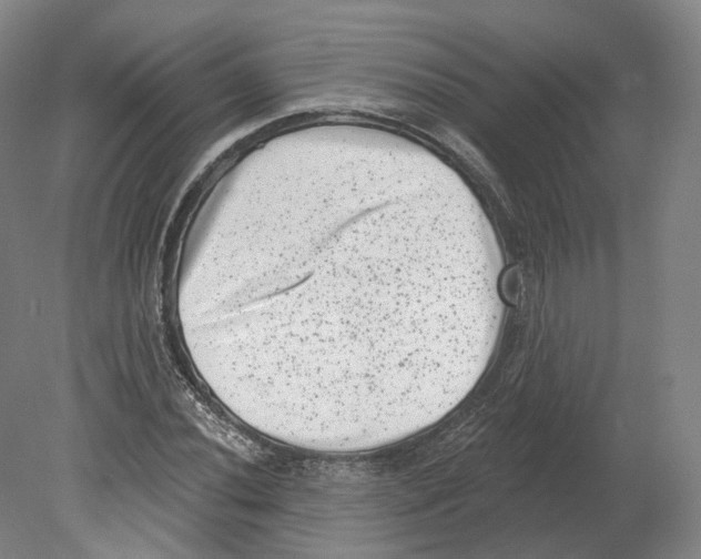 X0000080181020200701051651