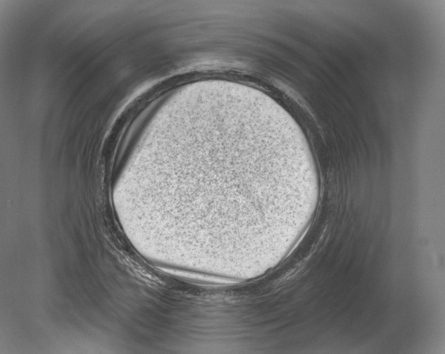 X0000080181021200701051651