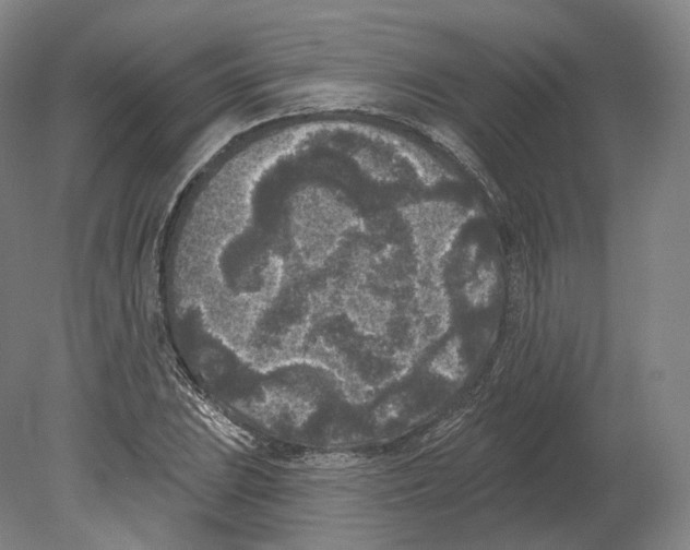 X0000080181023200701051651