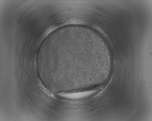 X0000080181025200701051651