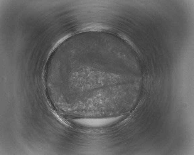 X0000080181026200701051652