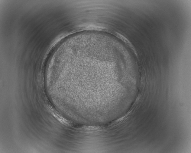 X0000080181027200701051652