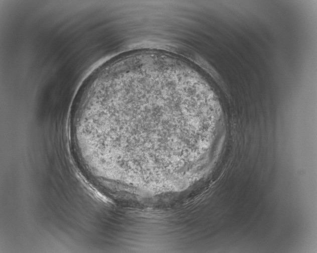 X0000080181028200701051652