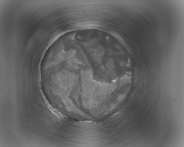 X0000080181031200701051652