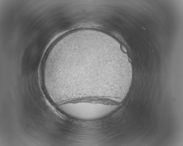 X0000080181032200701051652