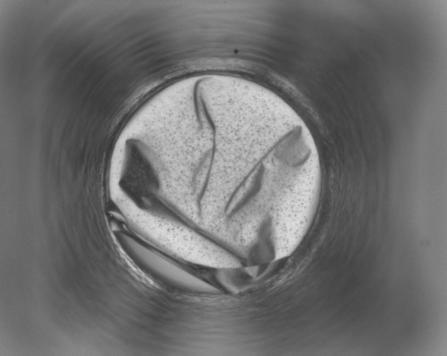 X0000080181033200701051652